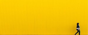 Best Service Provider